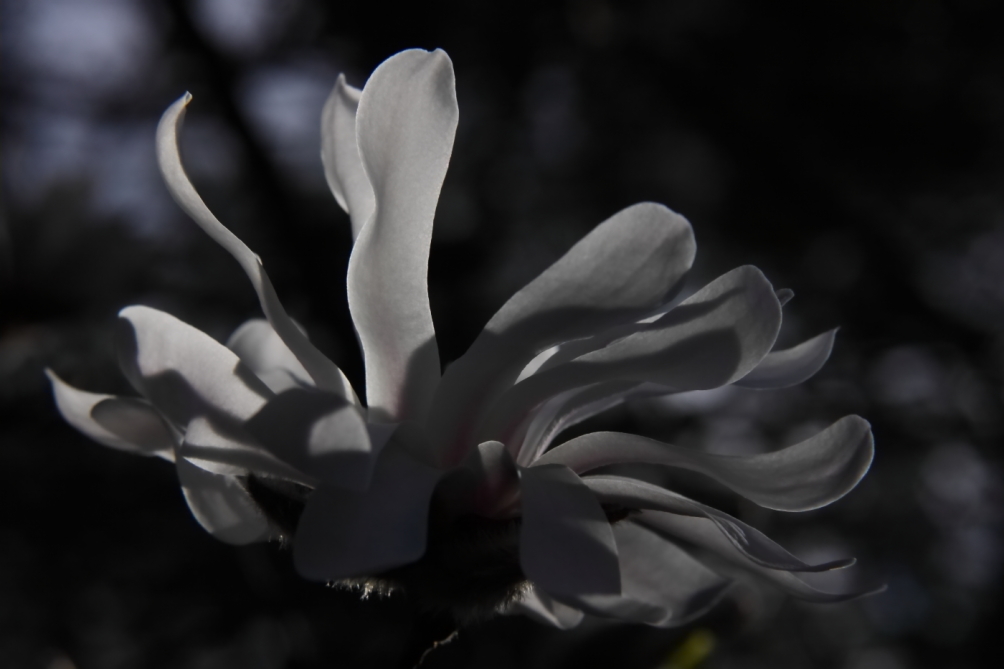 2012 03 20 9999 303
